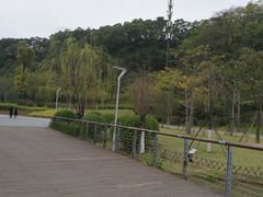 -飞凤山奥体公园