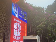 -镇江龙·火锅串串(武侯祠店)