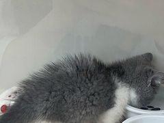 -天河领展广场
