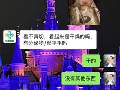 -雨林宠物医院 非犬猫异宠专科