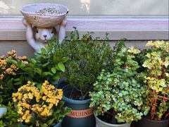 -后海16号·北京私房菜