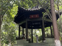 -杭州半山国家森林公园