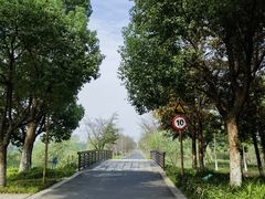 -长田漾湿地公园