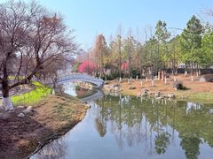 -武汉园博园(武汉自然博物馆)