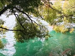 -清溪水库