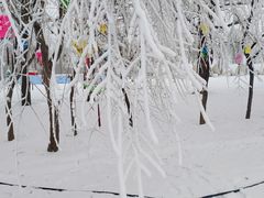 -中央广播电视总台(光华路办公区)