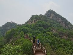 -大岭沟猕猴桃谷风景区
