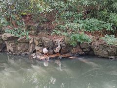 -兰亭风景区