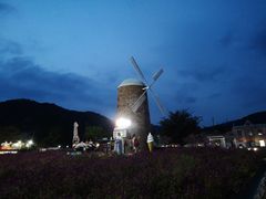 -玫瑰海岸文化旅游度假区