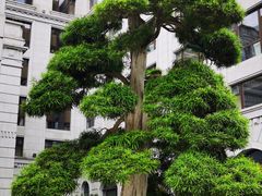 -南京东郊国宾馆