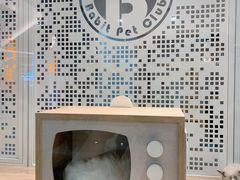 -BABIT巴比特宠物(MOMOPARK店)