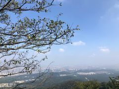-紫金山山顶公园