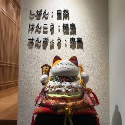 -一本X目奈子日式单根美睫专业店