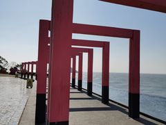 -漳州滨海火山岛自然生态风景区