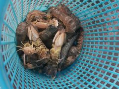 -喜相逢海鲜美食城(五邑平价农副产品批发市场店)