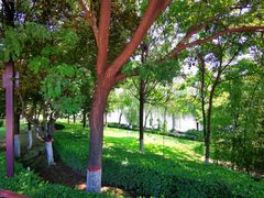 -西安汉城湖景区