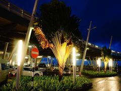 -西沃古尔·拉姆古兰爵士国际机场