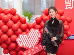 -河南威佳金凯汽车销售服务有限公司