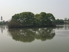 -梁鸿国家湿地公园
