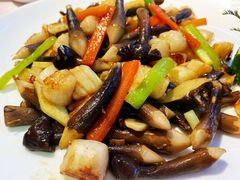 -天福苑(崇宁路店)