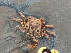 -珠海金沙滩
