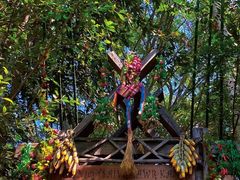 -西双版纳原始森林公园