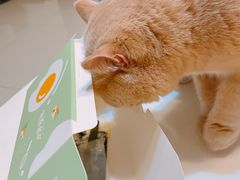 -小半有礼(天河南店)