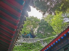 -华清宫景区