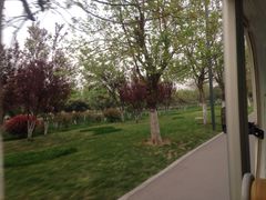 iphone_upload_pic-西安世博园