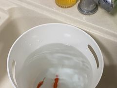 -风云再起游乐汇(南京常发广场店)