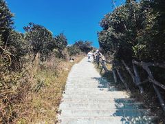 -梧桐山风景名胜区