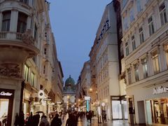 -斯蒂芬主教座堂(Stephansdom)