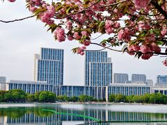 -尚贤河湿地