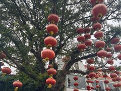 -盆满钵满·国家非遗传承(云台店)