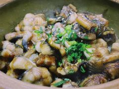 -红星光发煲仔饭(文海店)