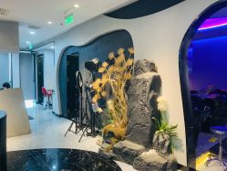-TOP HAIR SALON