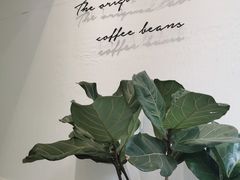 -red donkey coffee