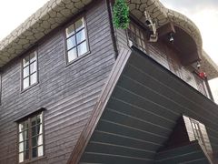 -金山农民画村-枫泾波兰倒置屋