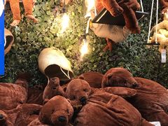 -宜家家居（上海徐汇商场店）-停车场