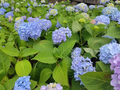 -和满堂·经典本帮菜(川沙古镇店)