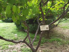 -仁和公园(顺义区)