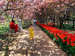 -石家庄市植物园