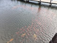 -前关湿地公园