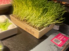-九鼎轩脆毛肚火锅(南京东路店)