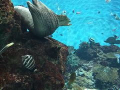 -鹿儿岛水族馆