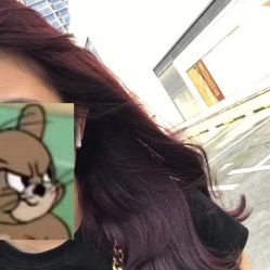-豪斯塔美发连锁