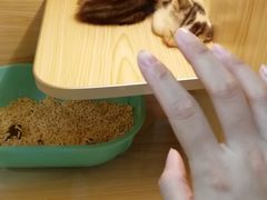 -十年猫舍·猫咪专门店(普陀店)