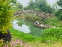 -西京湾花海