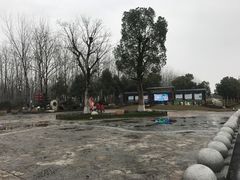 -合肥滨湖国家森林公园