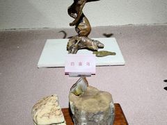 -陕西自然博物馆